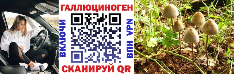 Галлюциногенные грибы ЛСД  закладка  Магас 